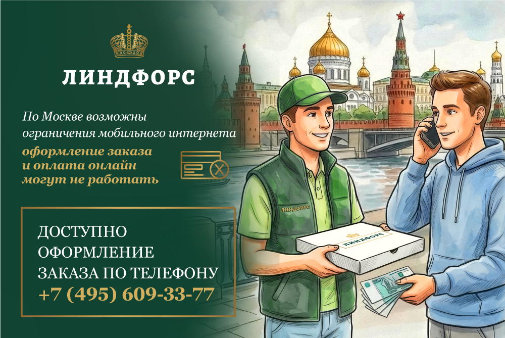 Ограничения интернета