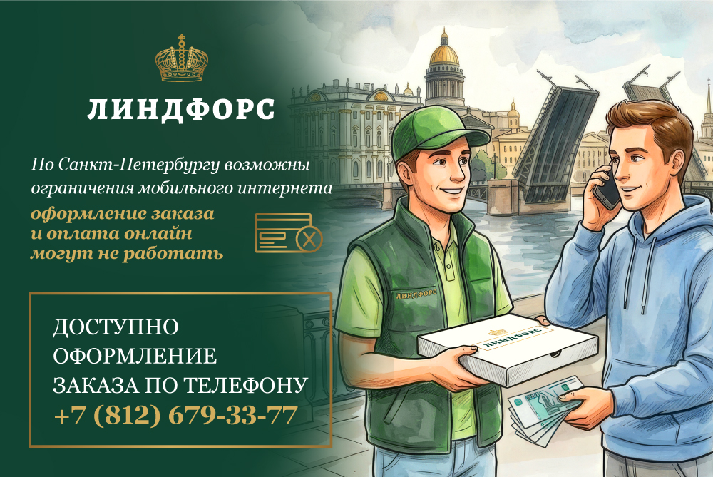 Ограничения интернета